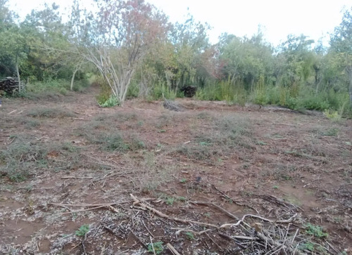 En Venta Parcela De Agrado La Placeta Molina Maule