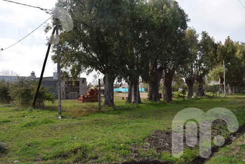 Imagen 4 de 10 de Venta Terreno - Los Hornos