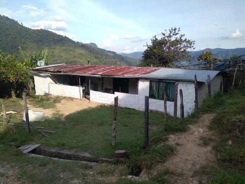 Imagen 6 de 7 de Finca De 35 Hectáreas En Poligono