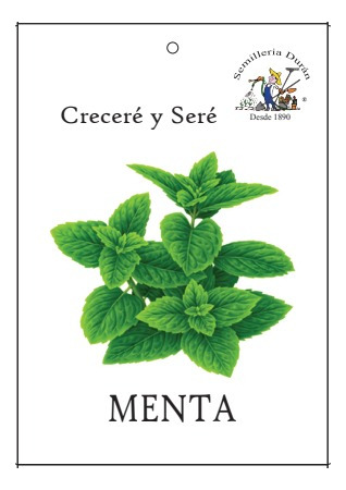 Semillas De Menta