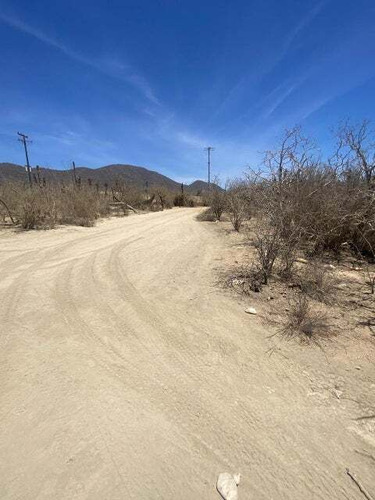 Cerritos Dreaming, Pescadero, Bcs