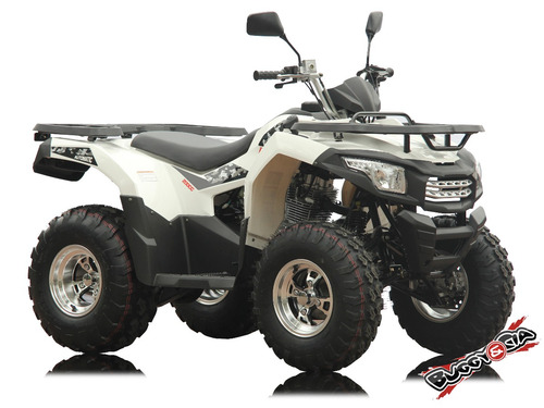 Quadriciclo Brutus 200cc Utilitário Painel Digital