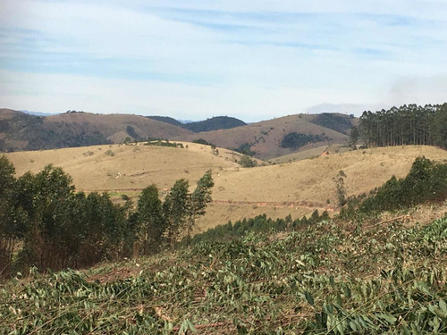 Imagem 5 de 5 de Jv-4 Lotes A 400m Da Represa