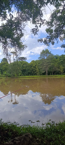 Linda Chácara Com Excelente Localização