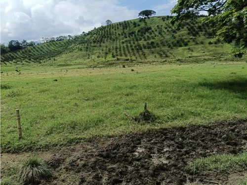 Se Vende Finca Vía Barragan - Rio Verde