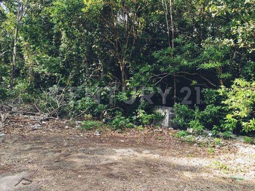 Terreno En Venta A 2 Cuadras De Prolongacion La Luna En Cancún