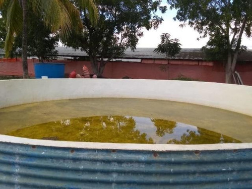 Imagen 16 de 30 de Jose Lopez Ofrece Finca ( Granja Avícola / Agrícola ) En Venta Vía A Duaca Caserio Guayabal Cordero Lara, Venezuela ,j G L Rent - A - House Telf. 0414-5533925 Cod # 22-16836 $ 15000