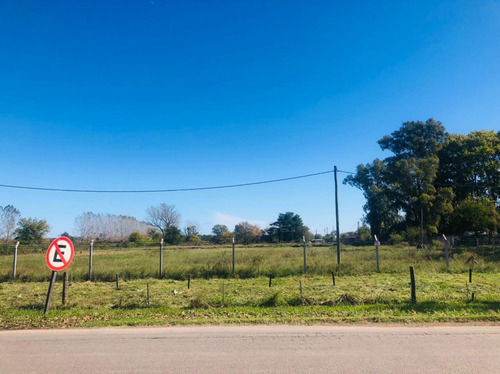 Imagen 4 de 9 de Terreno Comercial En Venta Acceso Estancias-pilara
