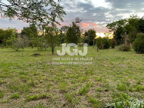 Imagen 6 de 14 de 2.1 Has - Atalaya, Buenos Aires