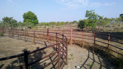 Imagen 4 de 24 de Finca De 9.080 Ha Guarico Con Pista Aterrizaje Autorizada