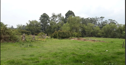 Venta De Lote En Llanogrande, Rionegro 