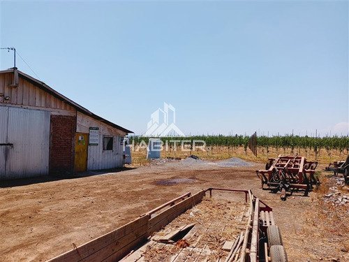 Imagen 9 de 30 de Agrícola En Venta En Curicó