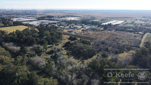 Imagen 7 de 21 de Barrio Privado Aires De Hudson - Lote En Venta