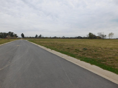 Imagen 2 de 8 de Venta - Lote Financiado En Pesos 300m2 - Parada Robles - Exaltacion De La Cruz