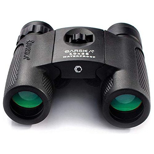 Amscope - Microscopio Compuesto Binocular Digital 40x-2500x