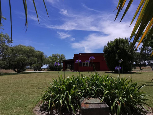 Imagen 18 de 30 de Chacra De 5 Hectáreas Con Casa En Jose Ignacio