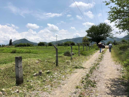 Imagen 6 de 14 de Carretera Tenancingo - Zumpahuacan Km 12