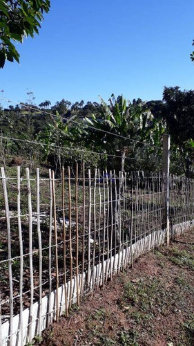 Imagem 11 de 26 de Chácara À Venda, 375 M² Por R$ 490.000,00 - Figueira Branca - Campo Limpo Paulista/sp - Ch0027