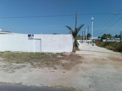 Imagen 3 de 5 de Terreno En Renta Sobre Av. 29 En Progreso