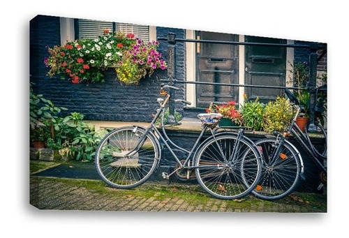 Cuadro Decorativo Canvas Moderno Bicicleta