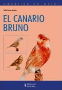 Canarios De Color : El Canario Bruno - Rafael Cuevas Martíne
