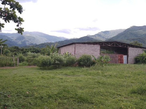 Valle Arriba Cerca Del Cc Daymar Guatire