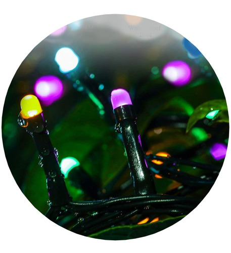 Guirnalda Luces Led 50 Foquitos Arroz 4 Metros Colores 220v Navidad