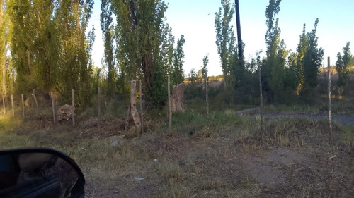 Imagen 20 de 28 de Vendo/permuto Finca Apto Todo Destino (viña, Cultivos Grales Y Ademas Cannabis Medicinal) O Loteo Club De Campo -alto Del Algarrobal-san Rafael -mendoza Sobre Rn 146 Km 376.1