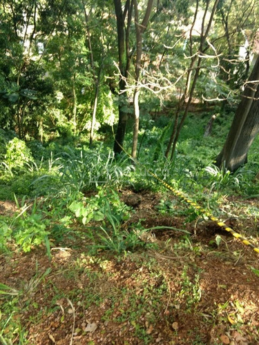 Imagem 3 de 8 de Terreno À Venda Em Chácara Flora - Te009315