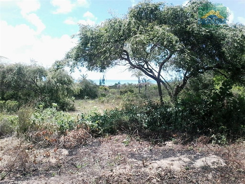 Imagem 4 de 4 de Terreno Residencial À Venda, Carapibus, Conde - Te0018. - Te0018
