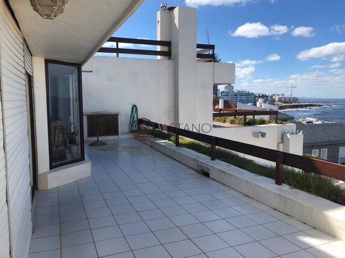Imagen 1 de 30 de - Punta Del Este Peninsula