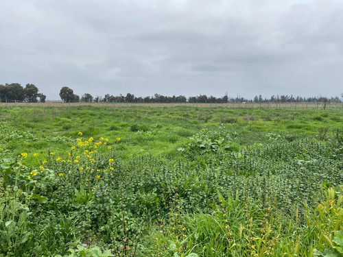Imagen 11 de 19 de Bajó De Precio! Sitio En Parcelación De Isla De Maipo