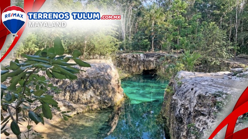 Cenote Con 17.5 Hectareas Con Frente De Carretera