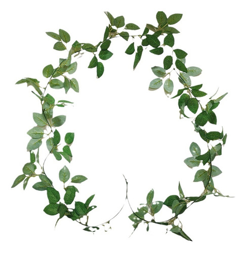Enredadera De Flor De Ratán De Hoja De Rosa De Navidad