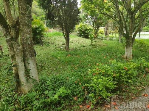 Chacara - Ch00054 - 69308156