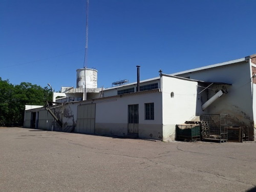 Vendo Bodega Con Viñedos Y Elaboración Propia