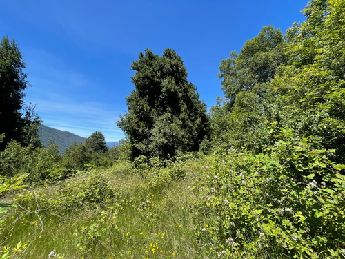 Parcela En Caburgua En Cerro La Barda