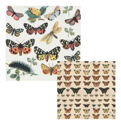 Papel Cardstock Scrapbook Artes Butterfly Borboletas Vintage