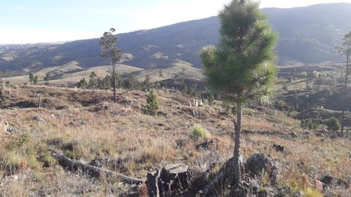 Imagen 10 de 10 de Venta De Campo Fracción 17 Hectáreas