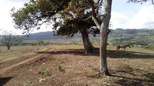 Imagen 3 de 30 de Finca En Mirimire Estado Falcon De 941 Hectáreas