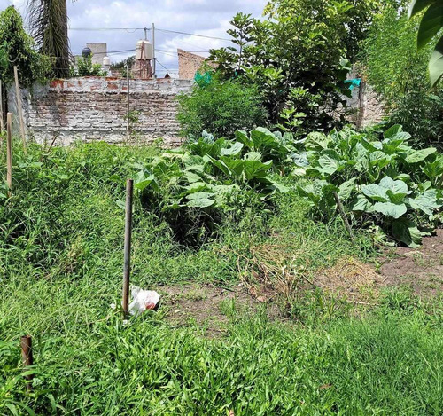 Imagen 9 de 10 de Casa A Reciclar - Lote 10 X 30 - Ituzaingo Norte