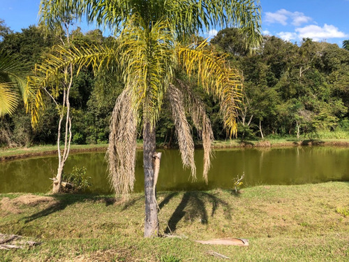 Imagem 12 de 30 de Chácara Com Lago E Nascente Em Ibiúna Cod: 1082