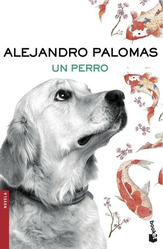 Libro Un Perro - Palomas, Alejandro