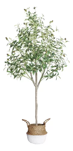 Árbol de olivo artificial, árbol de olivo artificial de 6 pies, planta de  olivo sintético de 70 pulgadas de alto, árbol de seda de olivo artificial  en