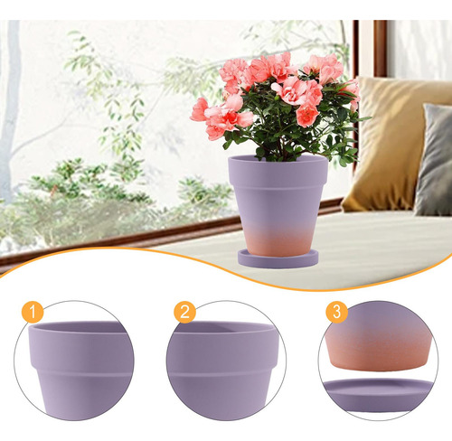 Planta Maceta De Flores Macetas Interiores Al Aire Libre Con