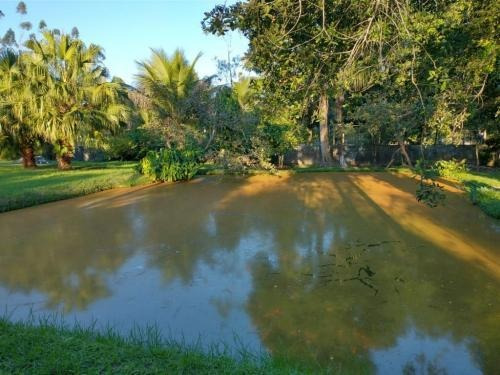 Chácara No Litoral Com 3 Quartos Em Peruíbe/sp