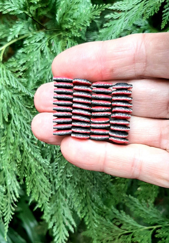20 Pares De Imãs De Neodimio Para Biomagnetismo 3.000 Gauss.