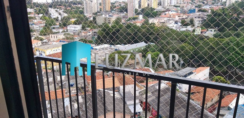 Imagem 6 de 15 de Apartamento Na Vila Indiana Com Três Dormitórios - 600g
