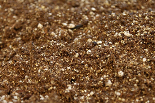 Sustrato Biointegral Plus Bioespacio X 30 Kilos Para Cultivo