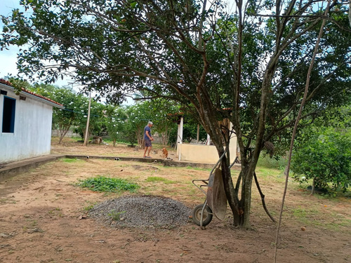 Chácara Com Casa Três Quartos Sala De Estar Cozinha E Dois B